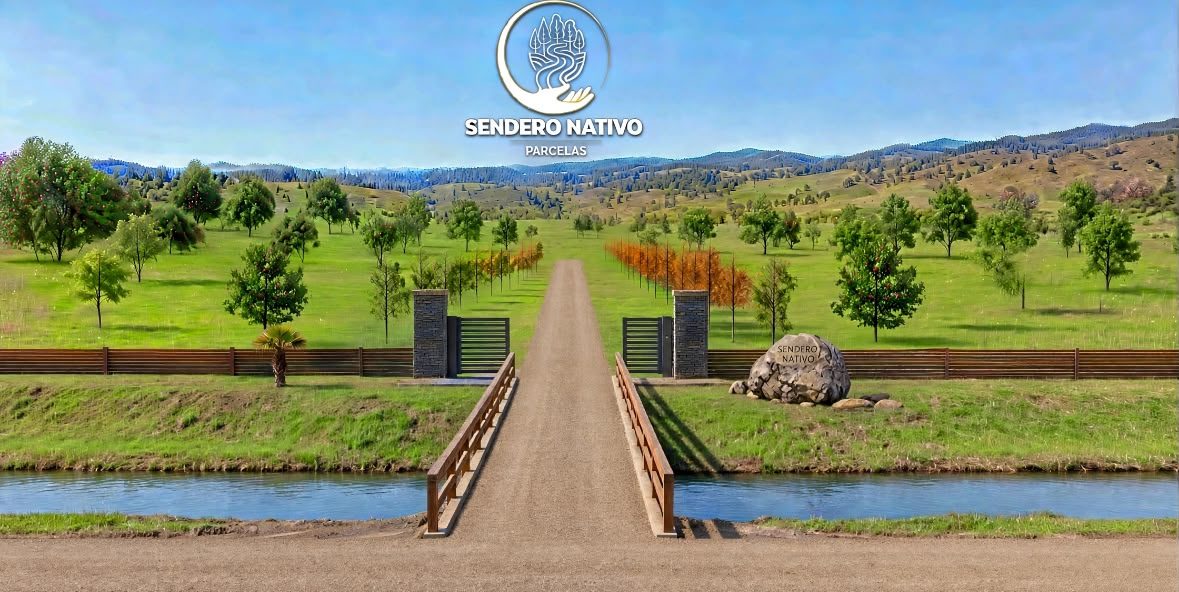 Acceso al loteo con puente, portón eléctrico y avenida de liquidámbar
