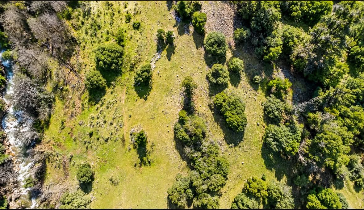 Vista aérea del terreno con estero y vegetación nativa